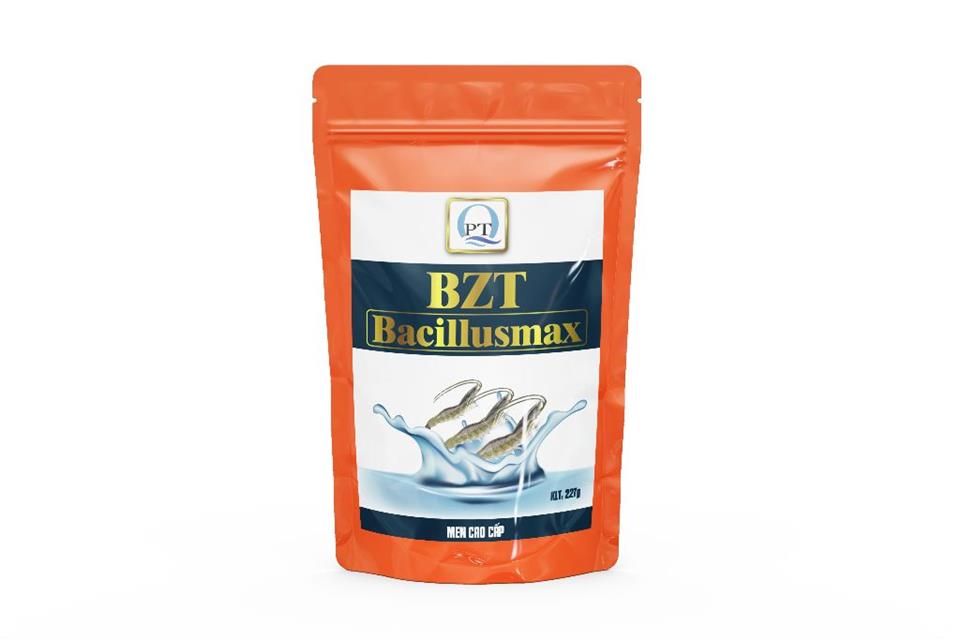 BZT BACILLUSMAX: SẠCH NGUỒN NƯỚC, TẨY NHỚT BẠC