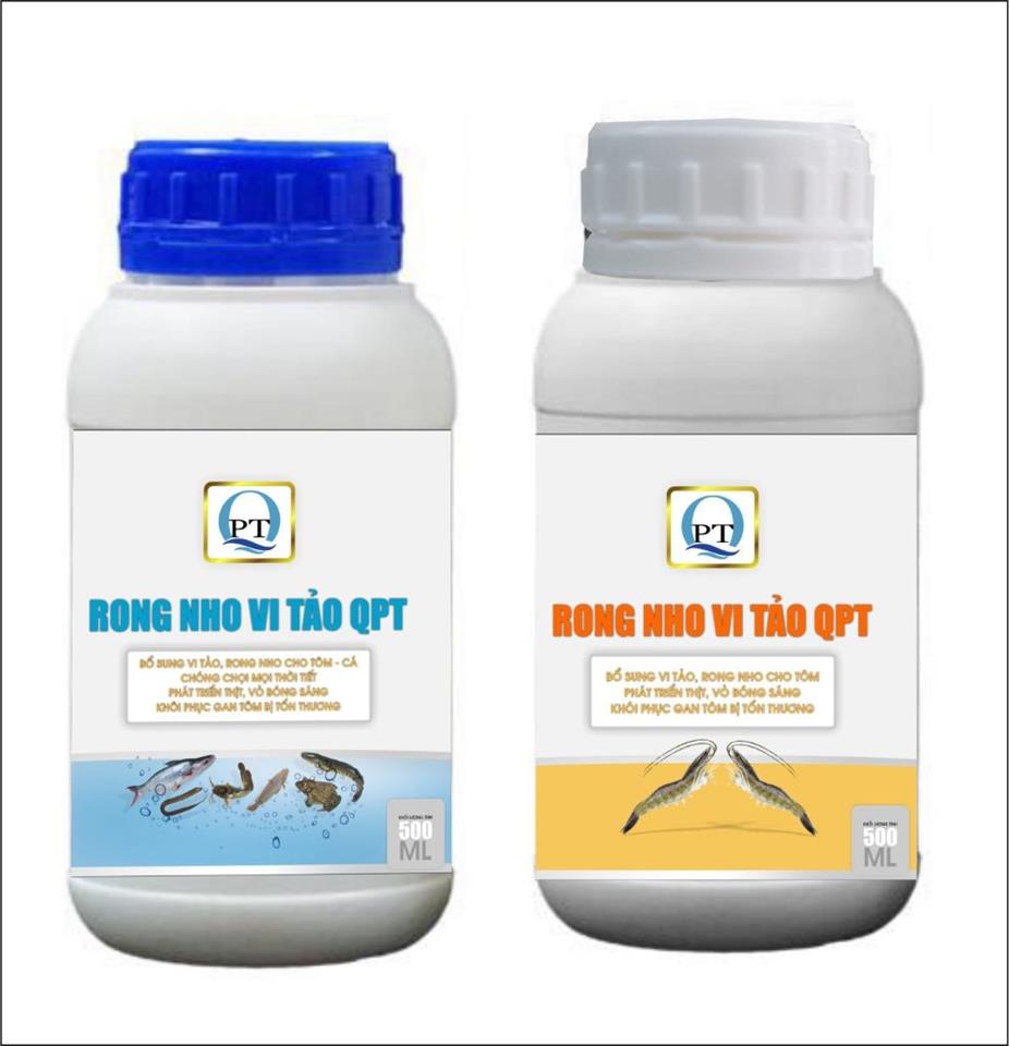 THÀNH PHẦN RONG NHO được ví như TRỨNG CÁ HỒI XANH ĐẠI DƯƠNG